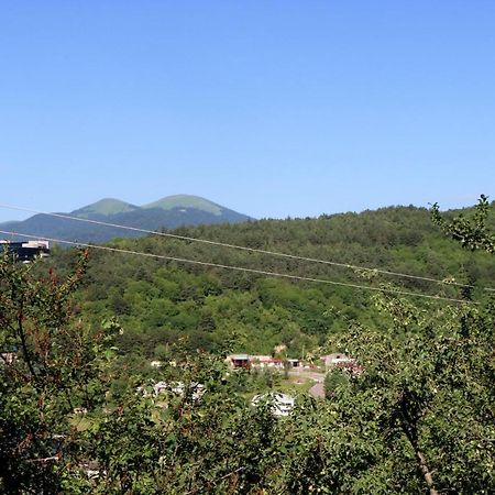 Dilijan Town Inn Eksteriør billede